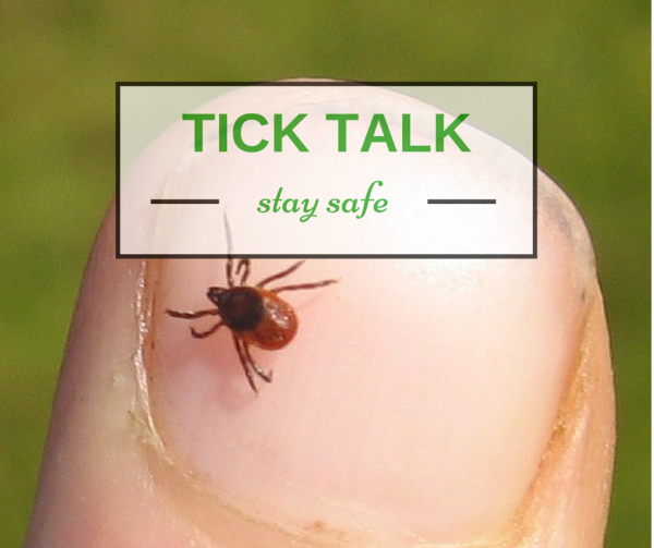 tick on fingernail