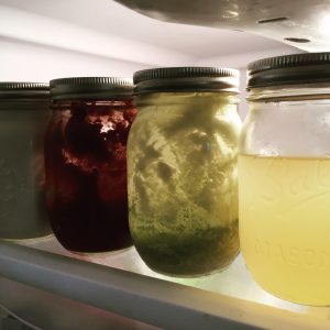 4 mason jars in a fridge