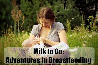 milk to go: adventures in breastfeeding