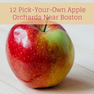 apple orchards near boston