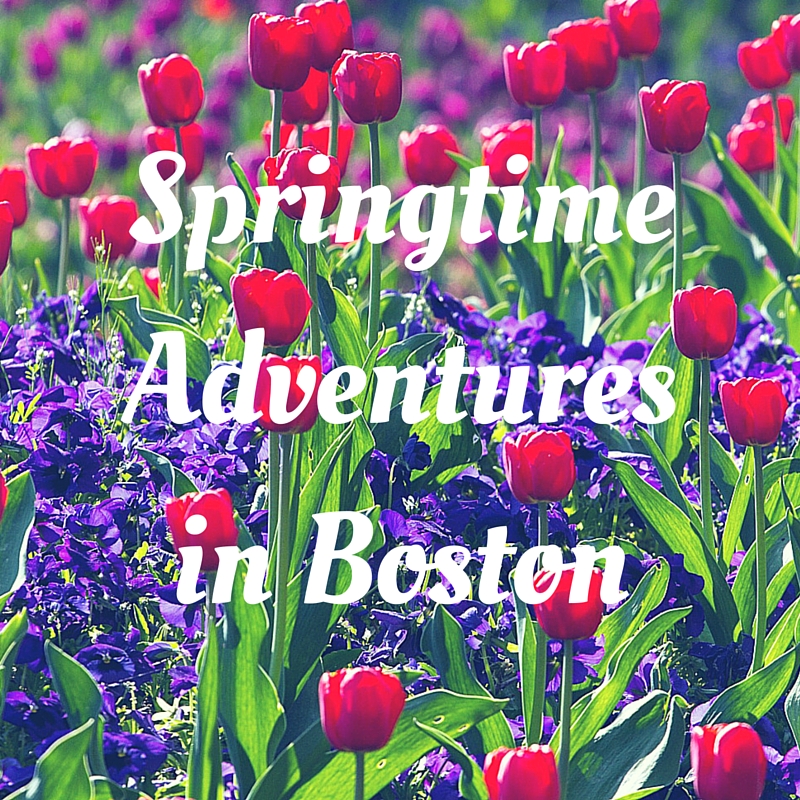Springtime Adventures in Boston-Boston Moms Blog