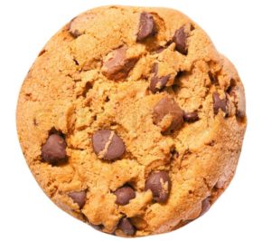 3675043-chocolate-chip-cookie