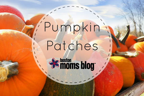 pumpkin patches in eastern MA