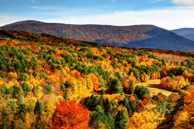 trees and hills in autumn in the Berkshires in Massachusetts