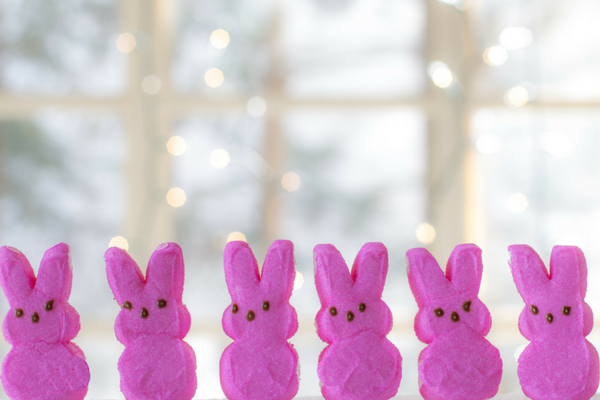 Easter bunny - Boston Moms Blog