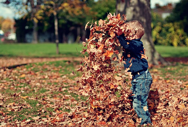 fall activities for families - Boston Moms Blog