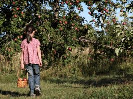 Girl in Apple Orchard