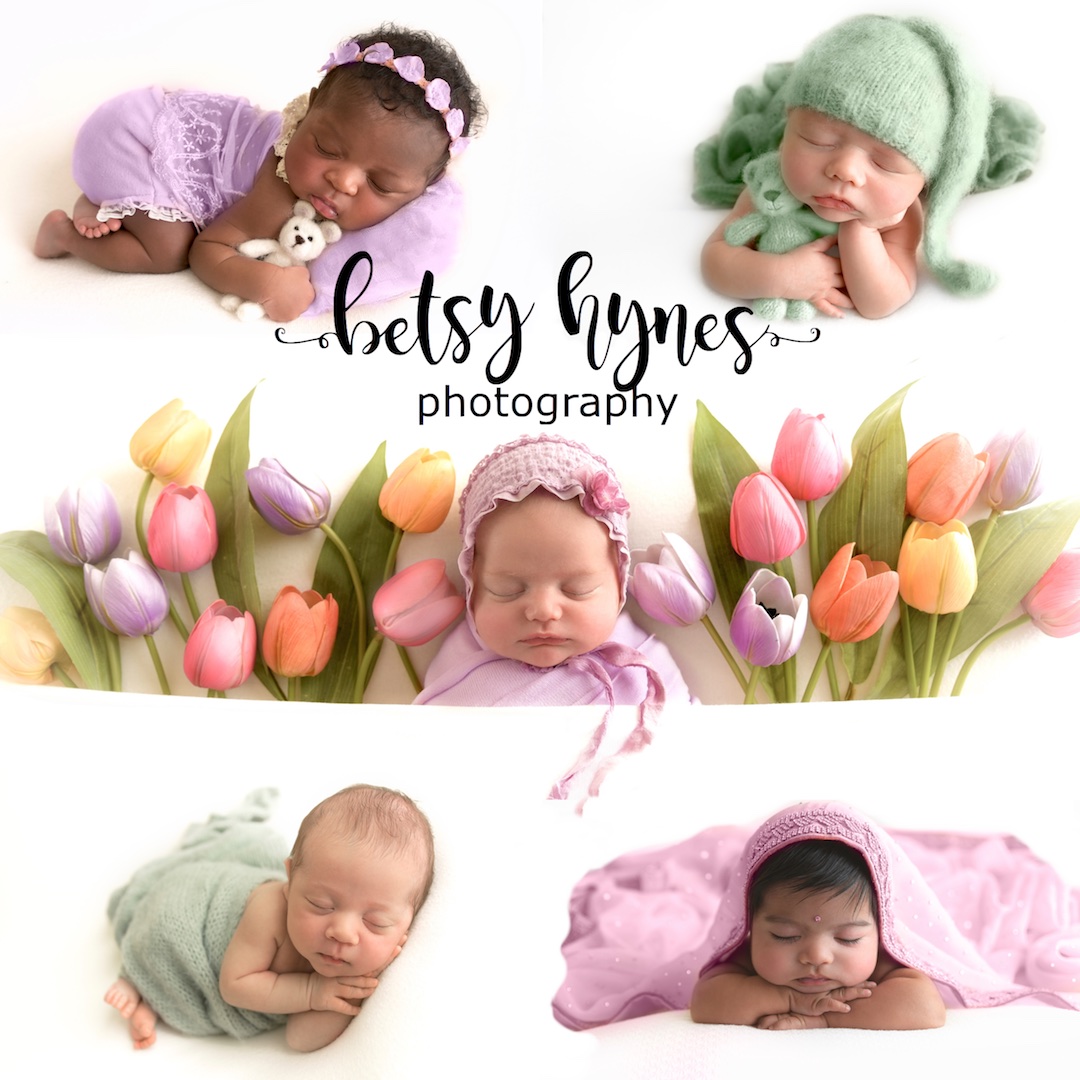 newborns posed for photos
