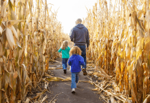 Family in a corn maze