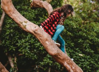 girl in a plaid jacket and jeans looks down from her perch near the top of a tall tree