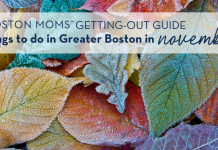 Frosted Leaves with Getting Out Guide written in text