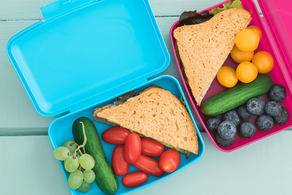 Kid Friendly School Lunch Box Ideas