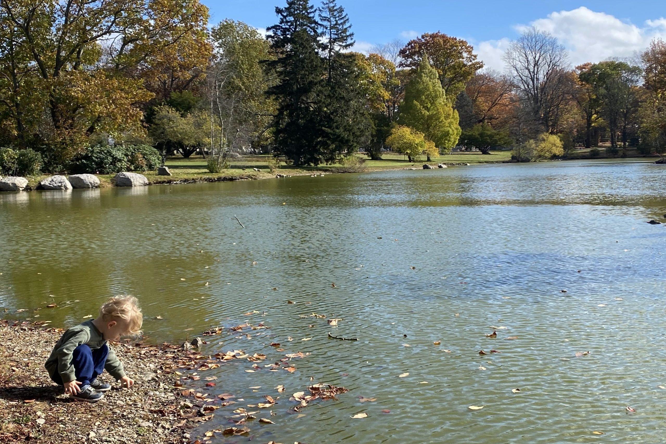 Little boy playing by pond in Fall