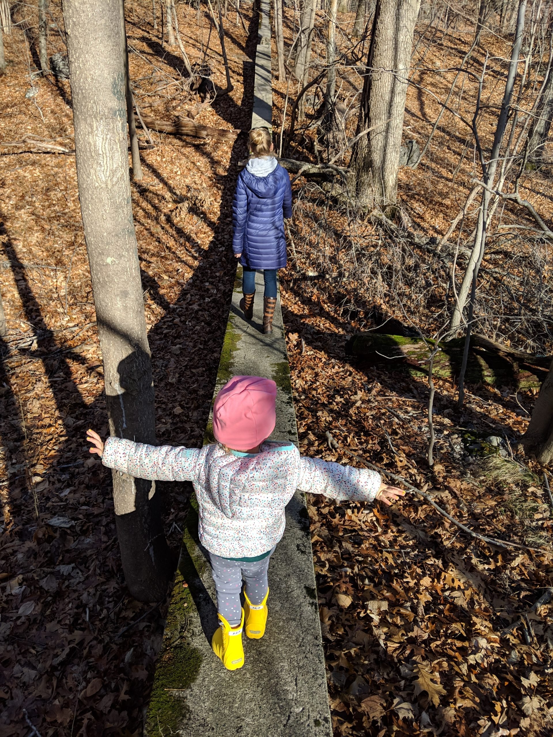 Walking on a wall in the woods