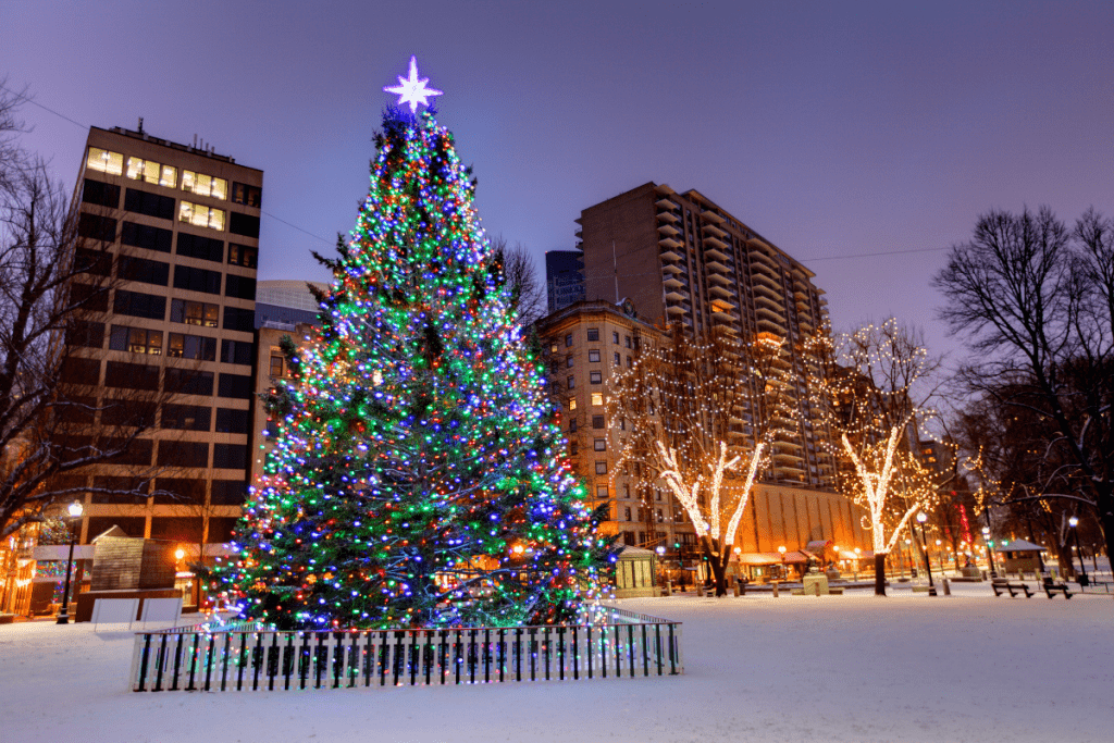 Boston Common Christmas tree lighting