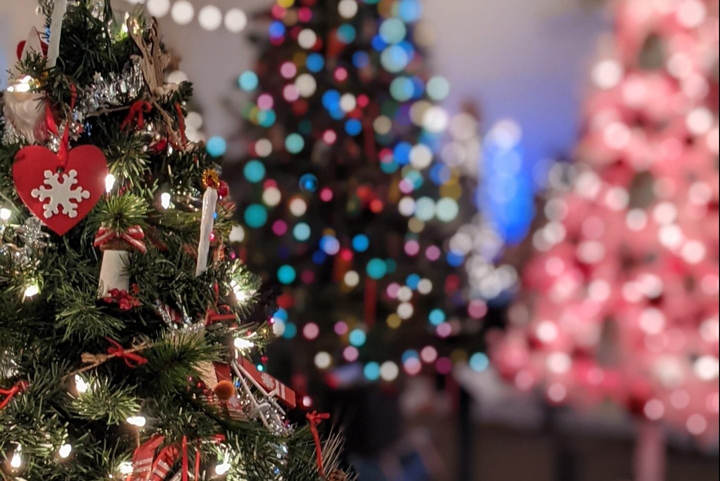 Christmas tree festival at Massachusetts Horticultural Society in Wellesley