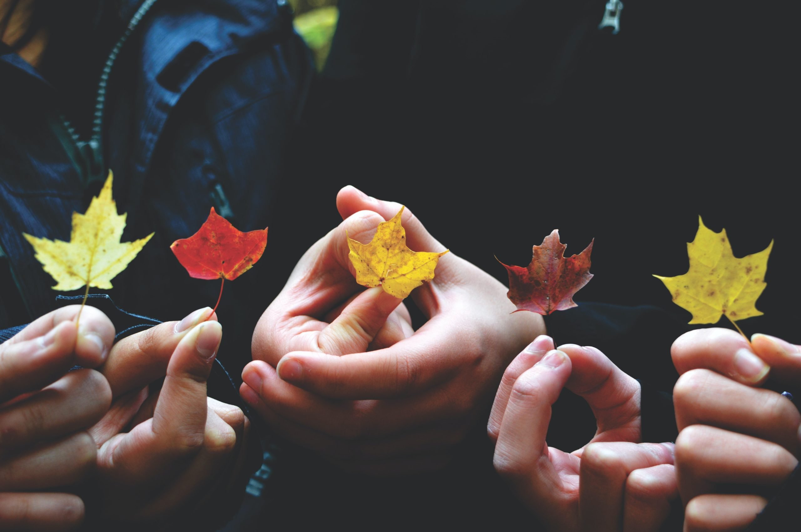 people holding autumn leaves (Boston resources for grieving families and children)