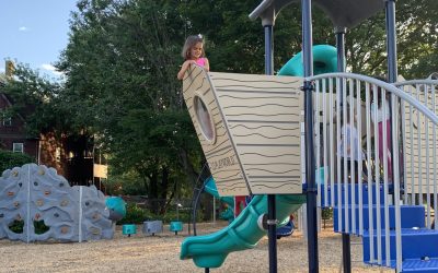 North Shore Playgrounds Worth Driving To