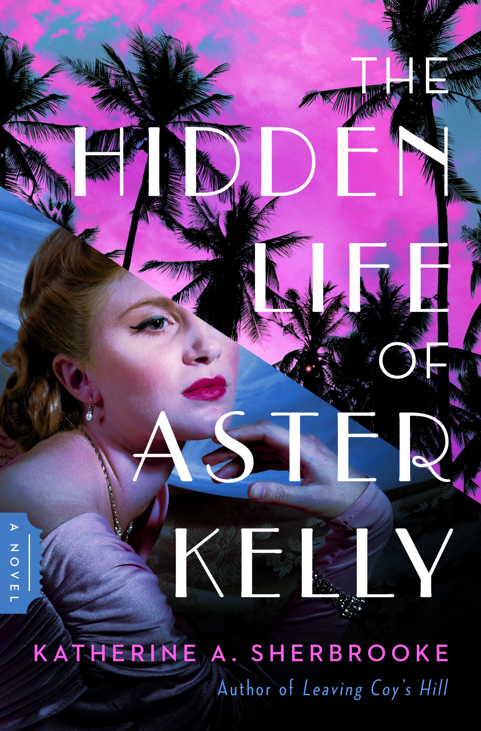 book cover of "The Hidden Life of Aster Kelly"