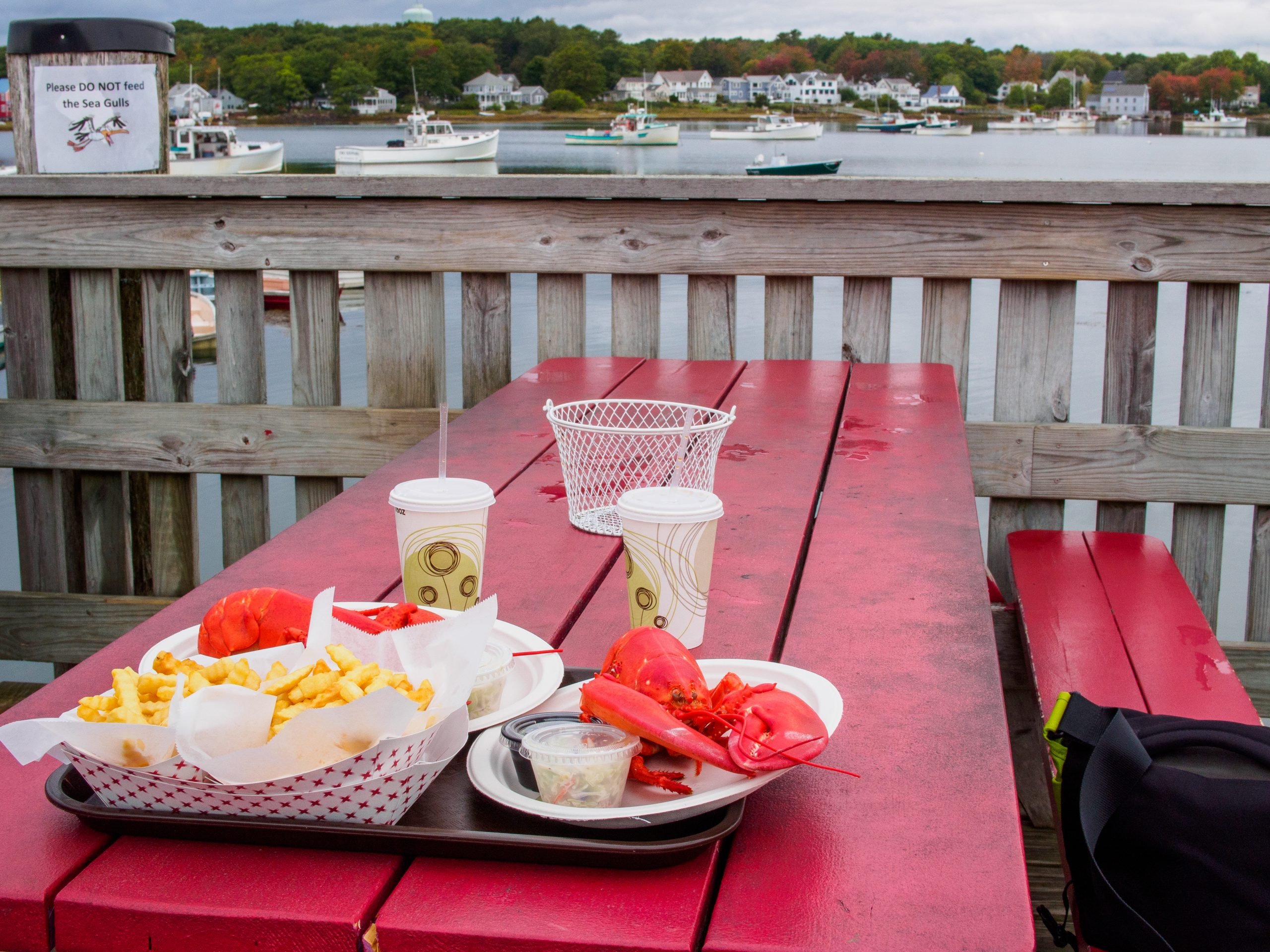 waterfront restaurants boston, lobster on picnic table